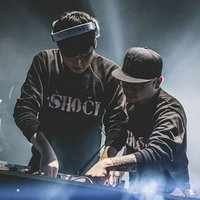 鸽子[手风琴谱]音乐简谱